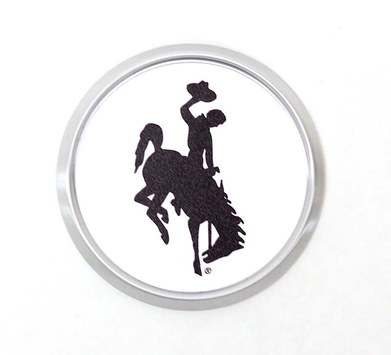 Bucking Horse Coaster