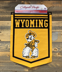 Collegiate Pacific® Rafter Banner Wyoming over Pistol Pete