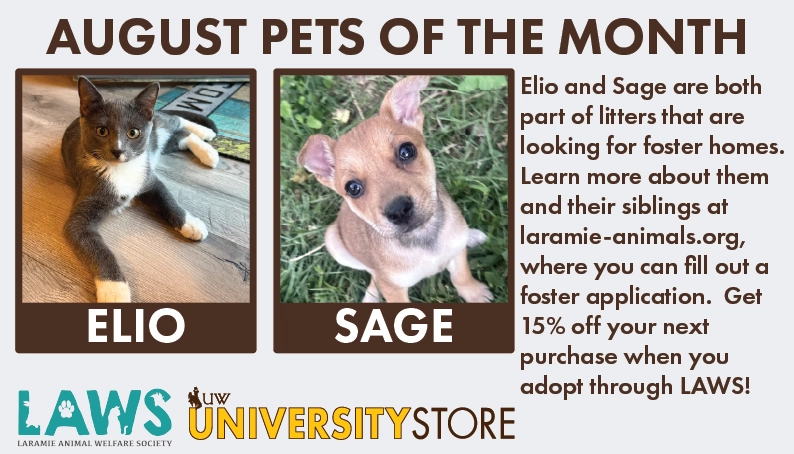 Elio and Sage are both part of litters that are looking for foster homes. Learn more about them and their siblings at laramie-animals.org, where you can fill out a foster application. Get 15% off your next purchase when you adopt through LAWS!
