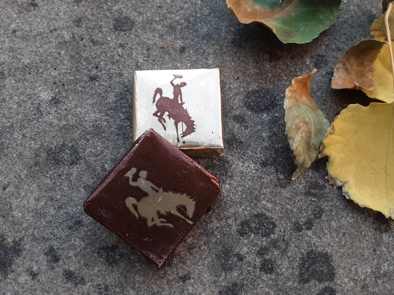 Milk Chocolate Bucking Horse Squares (SKU 113161211507)