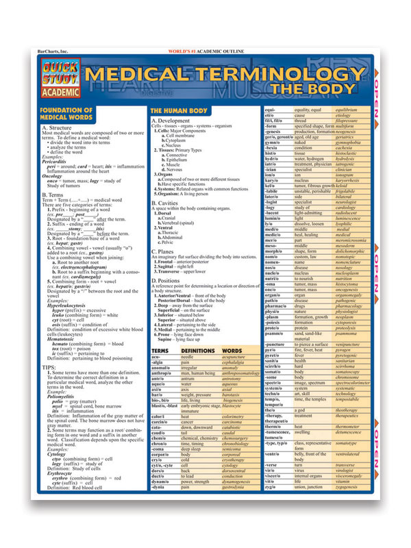 Basic Medical Terminology Chart