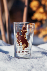 RFSJ® Bucking Horse Wyoming Mixer Glass