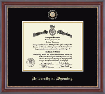 Church Hill Classics® Masterpiece Medallion Diploma Frame in Kensington Gold