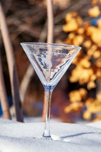 Campus Crystal Etched Bucking Horse Martini Glass