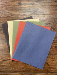 Folder Two Pocket Recycled Assorted