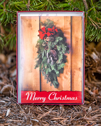 Leanin' Tree Assorted Boxed Christmas Cards