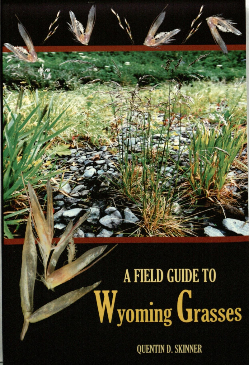 Field Guide To Wyoming Grasses University Store