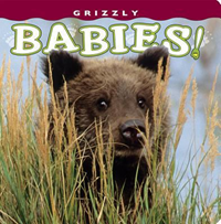 Grizzly Babies