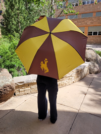 Paneled 48" Bucking Horse Umbrella