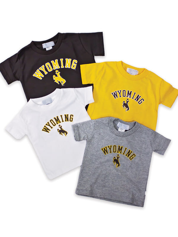 Wyoming Arch Basic Tee