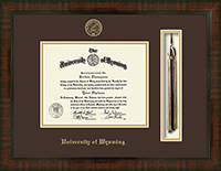 Church Hill Classics® Tassel Edition Diploma Frame in Delta