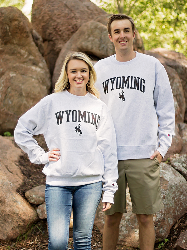 champion men's reverse weave crew