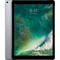 iPad Pro 12.9" (Older Generation)