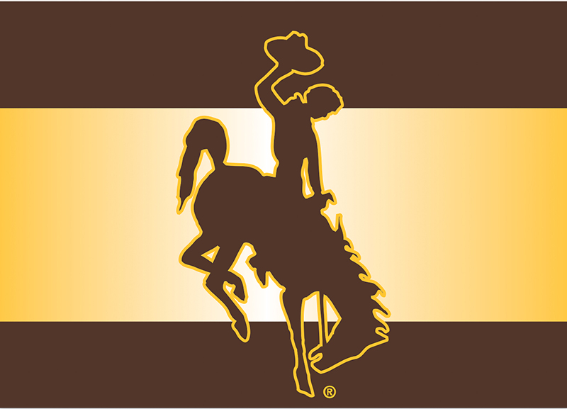 Blank Horizontal Stripe Bucking Horse Card (SKU 139010281428)