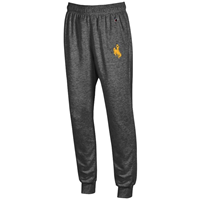 Champion® EcoPowerblend Fleece Jogger