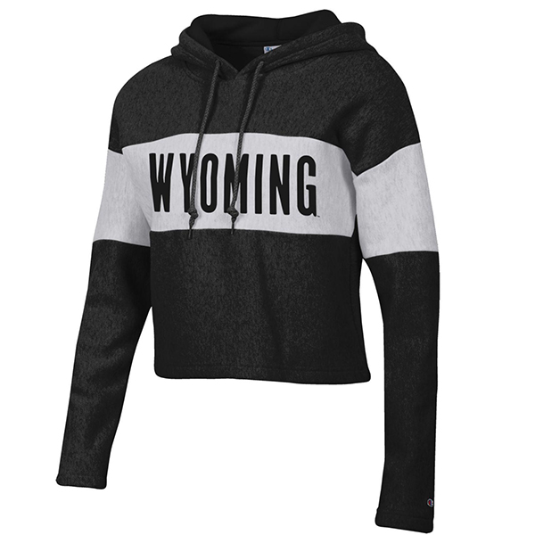 champion hoodie ladies