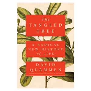Tangled Tree - cover photo
