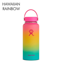 Hydroflask Shave Ice Collection Wide Mouth