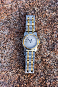 Women's Two-Tone Stainless Steel University of Wyoming Seal Watch