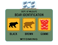 Blue 84® Bear Identification Sticker