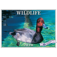 2020 Wildlife Calendar