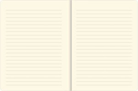 JOURNAL MID GALAXY -  1