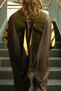 Doctorate Hood