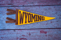 Mini Wyoming Felt Pennant