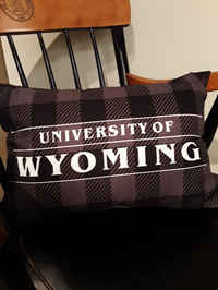 Plaid University of Wyoming Pillow