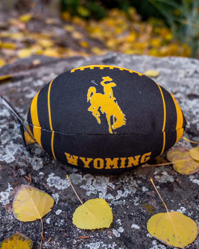 Wyoming Football Dog Toy (SKU 140774631468)