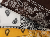 Non-Logoed Bandana