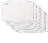 PM2.5 Filter Replacements Pack of 10