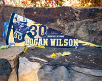 Logan Wilson NFLPA Pennant