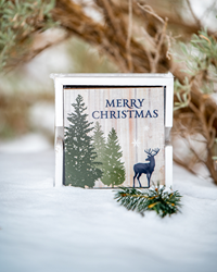 Wooden Coasters Sage Assorted Holiday Designs