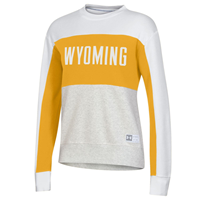 Under Armour® All Day Fleece Color Blocked Wyoming Crew