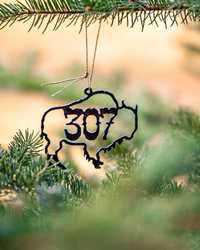 Iron Buffalo 307 Ornament