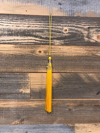 College Color Tassel 2022
