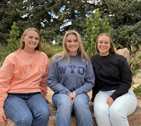 Big Cotton® WYO Tonal Crew