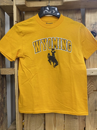 Champion® Youth Open Block Wyoming with Bucking Horse Tee