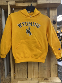 Champion® Youth Wyoming Arch over Bucking Horse Fleece Hoodie