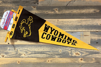 Collegiate Pacific® 1886 Bucking Horse Wyoming Cowboys Pennant
