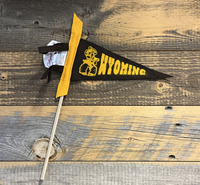 Collegiate Pacific® Pistol Pete Wyoming Pennant w/stick