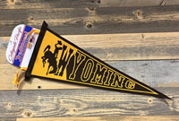 Collegiate Pacific® Bucking Horse Wyoming Block Letter Pennant