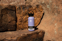 Hydro Flask 32oz Wide Mouth Straw Lid -  lupine