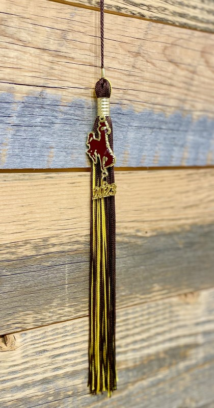 UW Souvenir Tassel (Red/White)