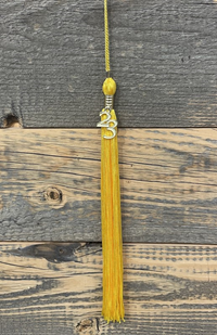College Color Tassel 2023