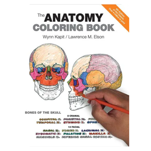 The Anatomy Coloring Book - cover photo