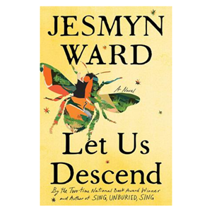 Let Us Descend - cover photo