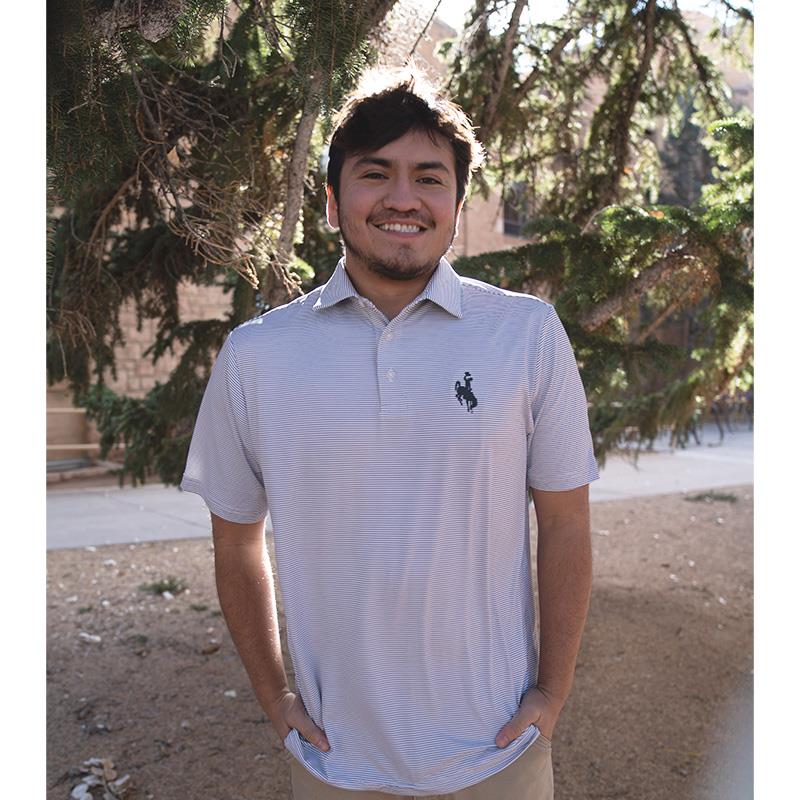 Under Armour Tonal Stripe Polo Bucking Horse | University Store Under Armour Tonal Stripe Polo Bucking Horse | University Store