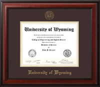 Jostens® Meridian Diploma Frame with Mahogany Satin Finish Foil Seal
